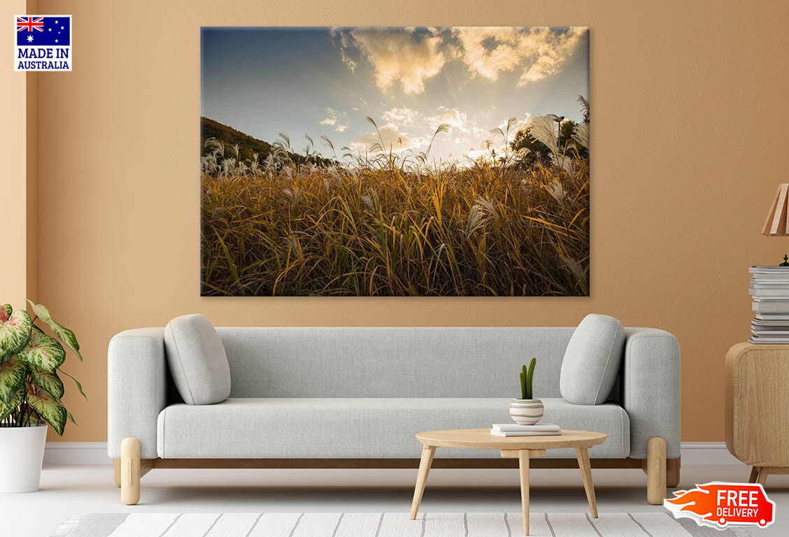 Reeds And Beautiful Sunset Scenery Canvas Print Unframed Home Decor