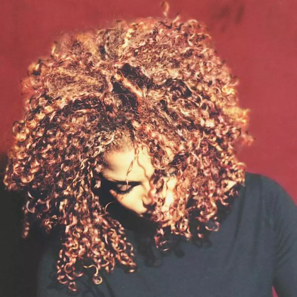 Janet Jackson The Velvet Rope Music Album Cover Poster Print 12 x 12