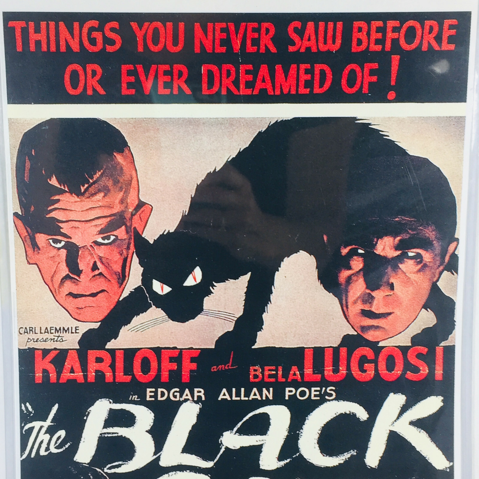 The Black Cat movie poster Poe Karloff Lugosi 11 x 17 + plastic protector A