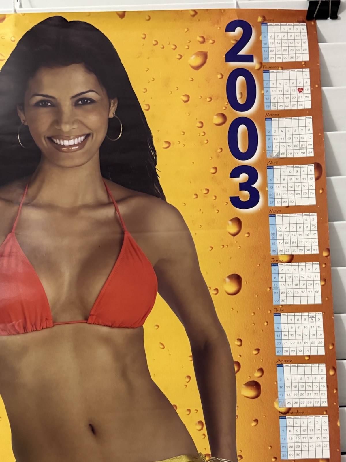 MODELO Cerveza Sexy Latin Girl 2003 Beer Poster 19 X 27 in sexy Calendar