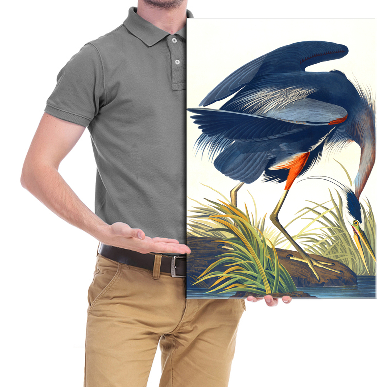 Canvas Print Wall Art Great Blue Heron by John James Audubon Birds of America