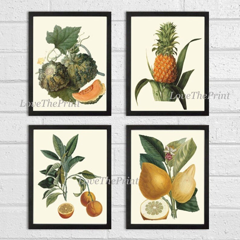 Vintage Tropical Fruit Botanical Wall Art Set 4 Prints Beautiful Unframed