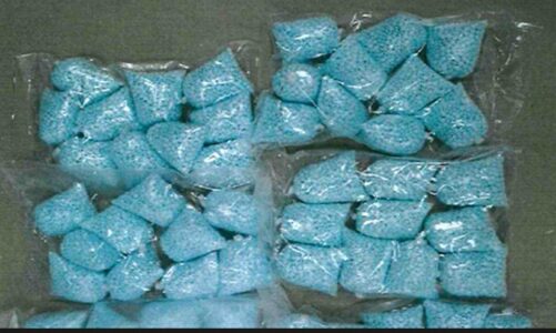 Trasportaba 100 mil dosis de fentanilo: nueve años de prisión