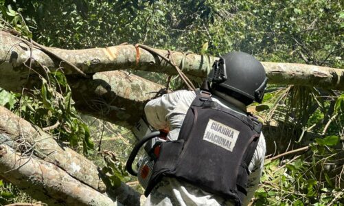  Guardia Nacional y Ejército Mexicano fortalecen la seguridad en la frontera sur del país