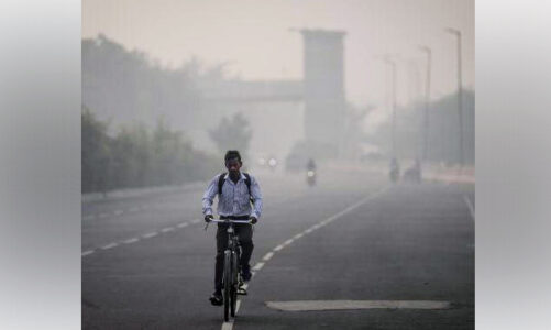 Una masa de aire tóxico en Nueva Delhi obliga a cerrar escuelas