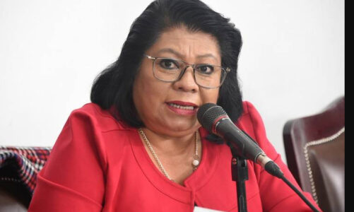 Diputada priista, Guadalupe Barrón se amparó contra una posible orden de captura