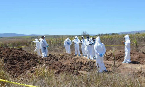 Hallan en BCS fosas clandestinas con más de 100 restos humanos  