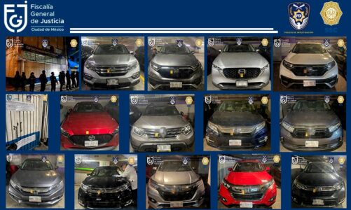 En “pensión” clandestina localizan 19 vehículos robados
