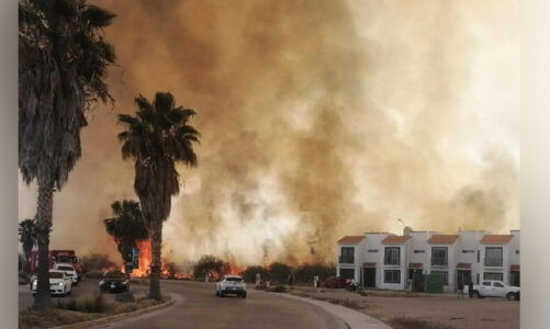 En San Luis Potosí incendio forestal, amenazó viviendas
