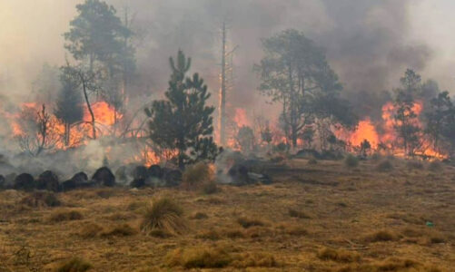 Llamas del incendio en Jilotzingo amenazan con consumir casas de la zona boscosa