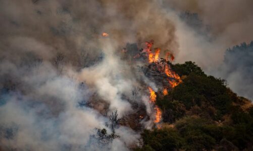 Incendios forestales nublan Guerrero