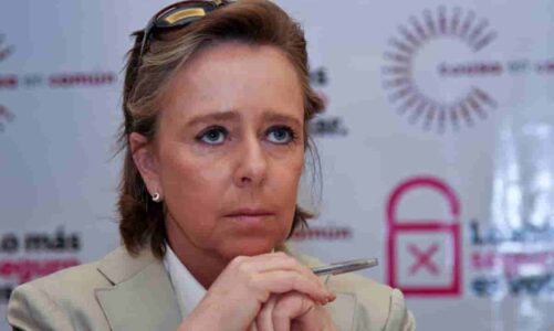 “Inaudito y muy grave” que Presidencia difunda expediente contra Amparo Casar: INAI