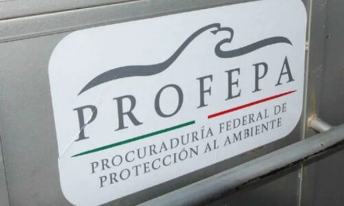 PROFEPA admite daño ambiental del Tren Maya