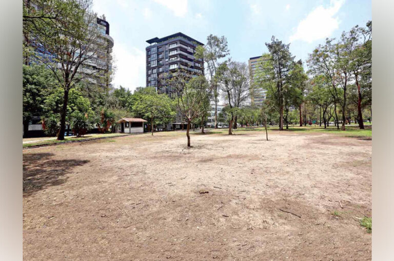 Abandonado el parque Líbano; árboles muertos e inseguridad