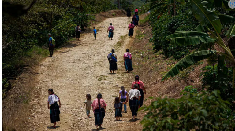 En Chiapas “no hay condiciones” para elecciones extraordinarias por la violencia, obispos