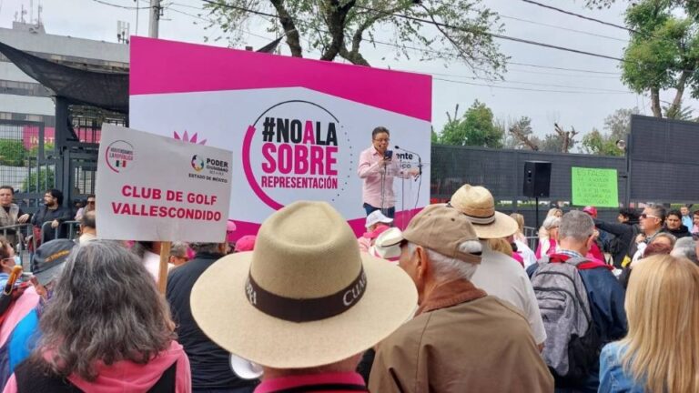 Marea Rosa contra sobrerrepresentación marchará al INE