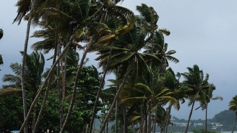 Alerta roja en Los Cabos por tormenta tropical “Ileana”