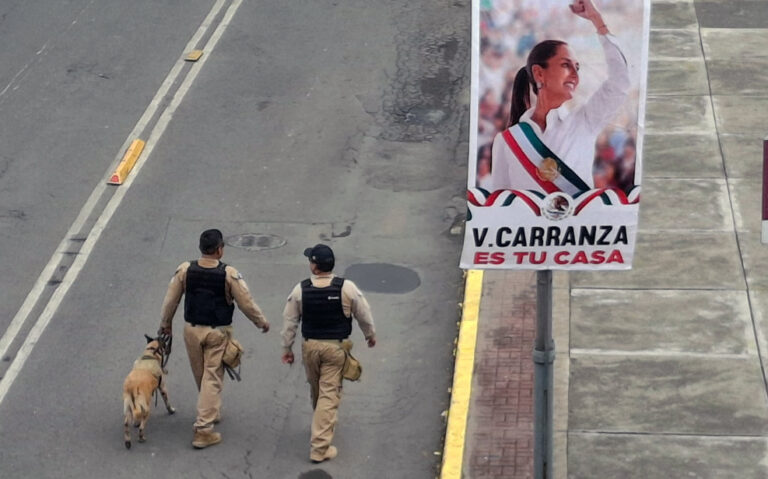 Federales, binomios caninos, policía encubierto patrullan inmediaciones de la Cámara de Diputados