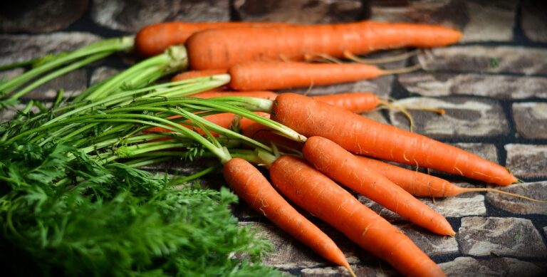 Brote de E. coli en EU, ahora en zanahorias