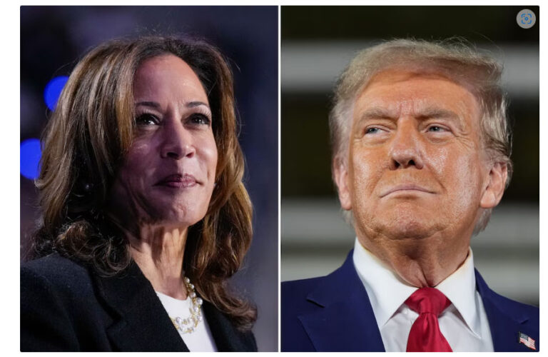 Kamala Harris o Donald Trump: qué día y a qué hora se conocería al próximo presidente de los Estados Unidos