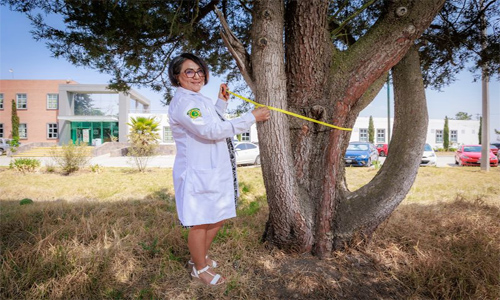 Marlín Pérez interesada en evaluar el papel del arbolado urbano en la mitigación de la contaminación