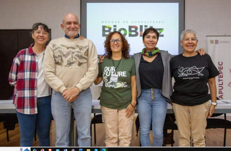 Recuperan 4 mil 553 ejemplares de animales gracias al mapeo de suelo en la CdMx