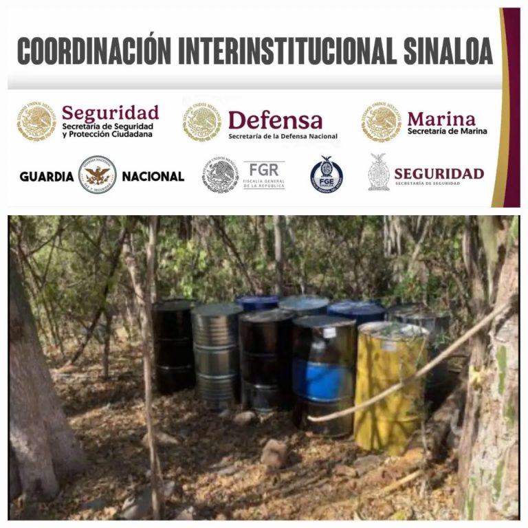 Aseguran 14 laboratorios clandestinos en Sinaloa, parte de una red de producción de drogas