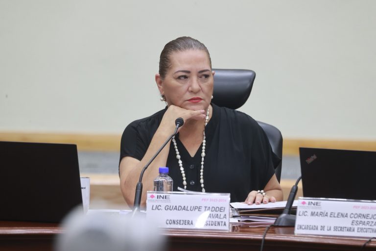 Taddei responde a Noroña: a INE no le corresponde evaluar perfiles