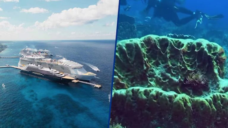 Semarnat revisará permiso para muelle en Cozumel otorgado con AMLO