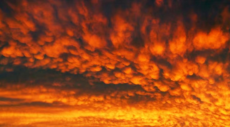 Polvo del Sahara llega a México; este fenómeno ocurre cada año y genera atardeceres rojizos