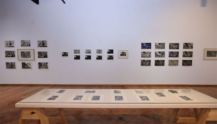 UAEMéx exhibe «Procesos», obra gráfica de Francisco Toledo