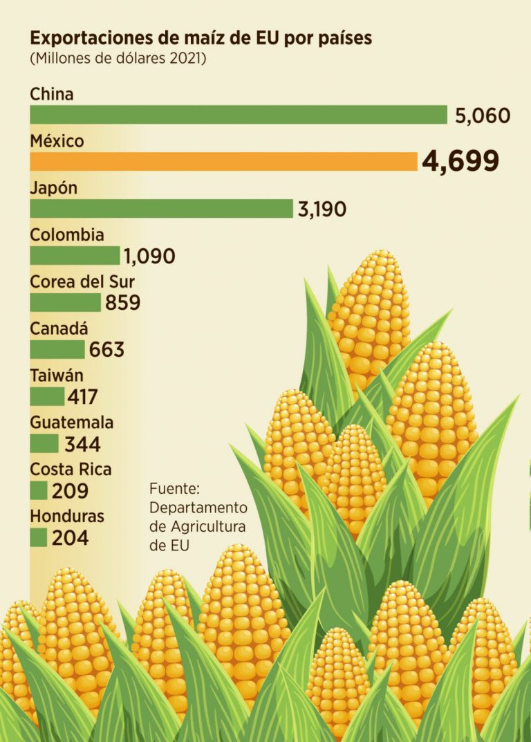 Aumentan importaciones y caen precios del maíz