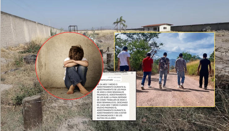 Quince estados de México donde el crimen organizado recluta a menores