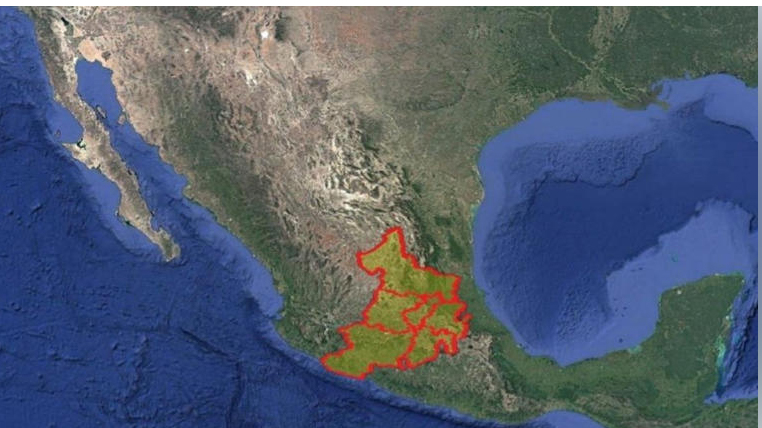 Alertan Guanajuato, Querétaro, San Luis Potosí, Hidalgo, Michoacán y EDOMEX por robo de gas cloro