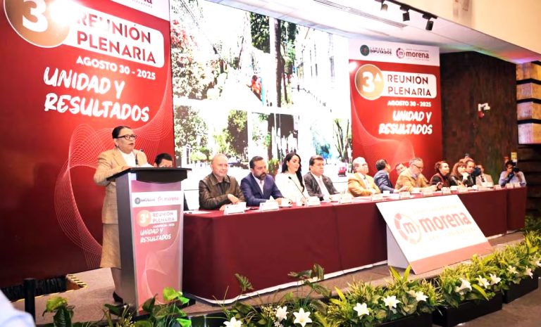 Rosa Icela Rodríguez urge a diputados de Morena a mantener austeridad