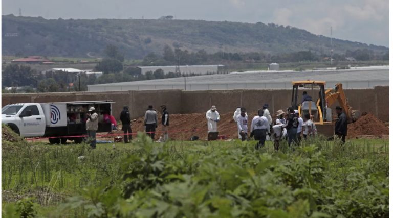 Fosa clandestina Las Agujas: suman 259 bolsas con restos humanos