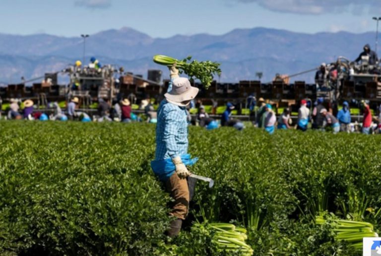Economistas del Congreso de EU reconocen que necesita inmigrantes