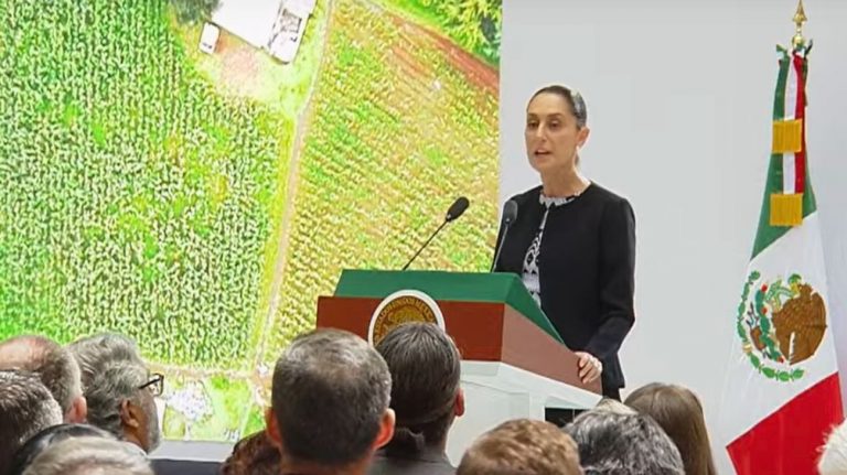 El Estado no reprime: Claudia Sheinbaum