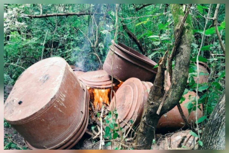 Militares destruyen ‘narcolaboratorios’ en 4 municipios de Sinaloa