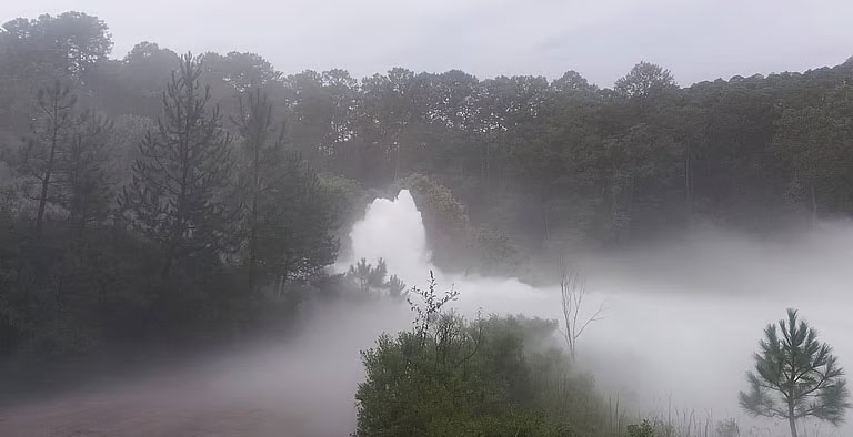 Fuga de gas en ducto de Pemex enciende alertas en Tlaxcala