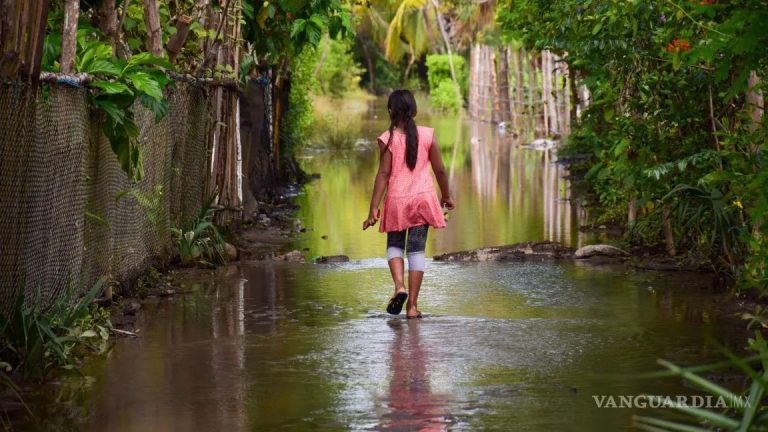 Sólo uno de cada 4 municipios tiene Atlas de Riesgos, reconoce Cenapred