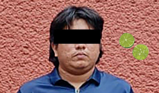 Capturan a “El Llanero”, acusado de extorsionar a productores de limón en Tierra Caliente