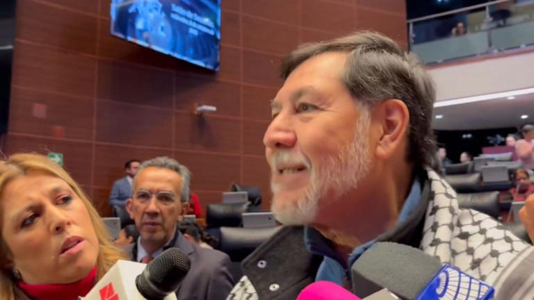 Gerardo Fernández Noroña confirma que pedirá licencia como senador