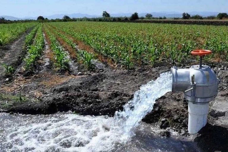 Políticos y grandes empresas roban el 80% de agua a mexicanos, calculan investigadores