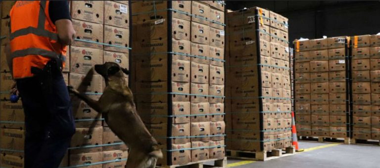 La transformación del crimen amenaza a América Latina