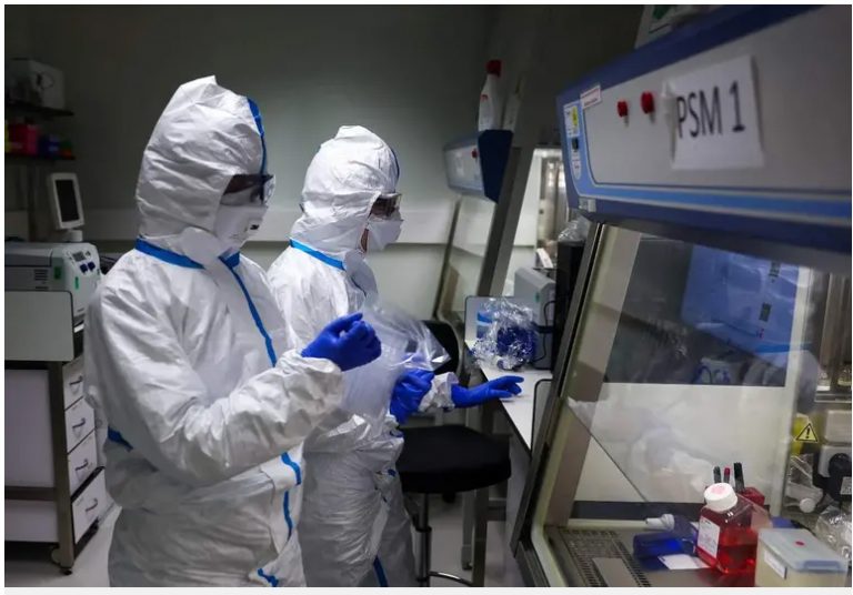 Gripe aviar H5 podría causar una pandemia peor que el Covid-19, advierten