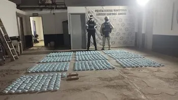 Decomisan Fuerzas Federales media tonelada de fentanilo