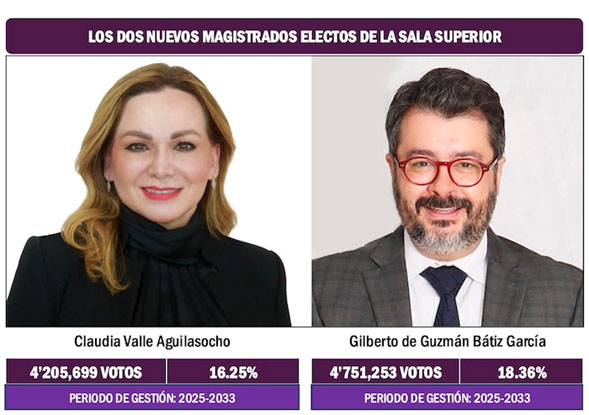 Tribunal Electoral tiene por primera vez un presidente electo