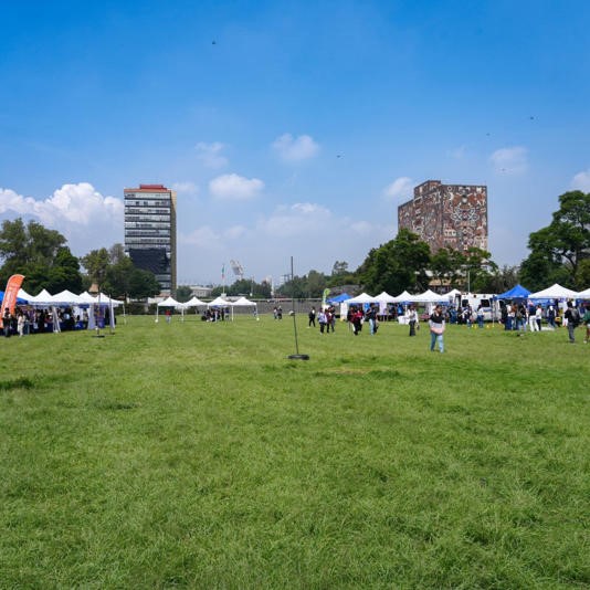 Ciencias Políticas de la UNAM cierra aulas hasta 2026