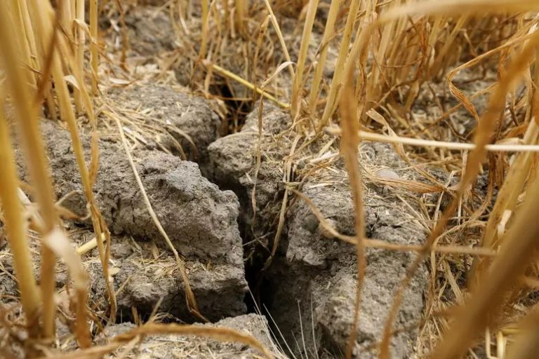 México en umbral de estrés hídrico extremadamente alto: WRI